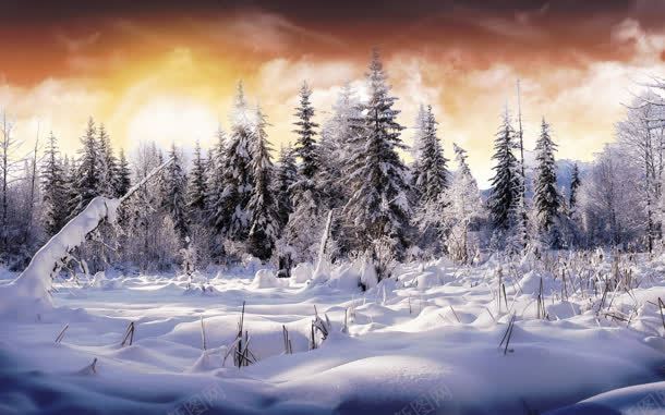 晚霞中的林海雪原海报背景jpg设计背景_新图网 https://ixintu.com 晚霞 林海 海报 背景 雪原
