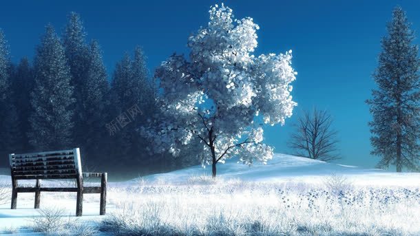 雪地冬季大树凳子海报背景jpg设计背景_新图网 https://ixintu.com 冬季 凳子 大树 海报 背景 雪地