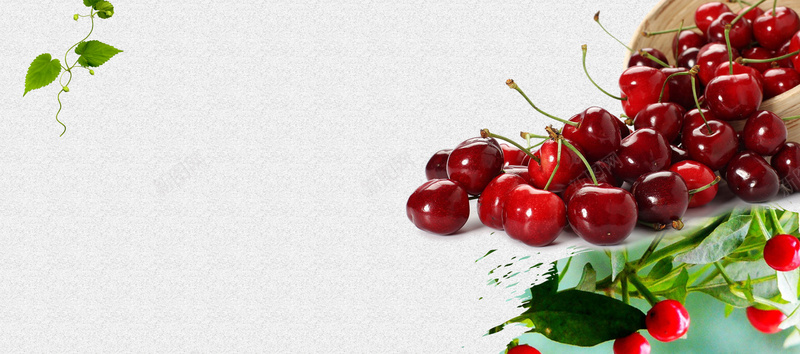 车厘子灰色简约bannerpsd设计背景_新图网 https://ixintu.com banner 促销 折扣 樱桃 水果 灰色 生鲜 简约 美味 车厘子 进口