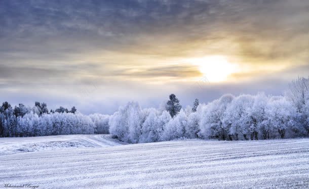 阳光普照大雪堆积jpg设计背景_新图网 https://ixintu.com 堆积 大雪 普照 阳光