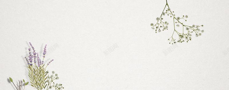 清新文艺纯天然植物护肤背景psd设计背景_新图网 https://ixintu.com 女装 小清新 护肤 护肤品 文艺 植物 海报banner 清新 简约 纯天然 美妆 背景