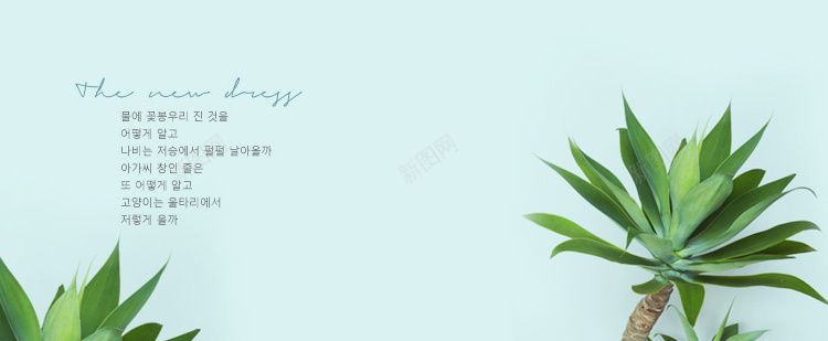 植物清新背景jpg设计背景_新图网 https://ixintu.com H5 H5背景 h5 叶子 小清新 文艺 简约