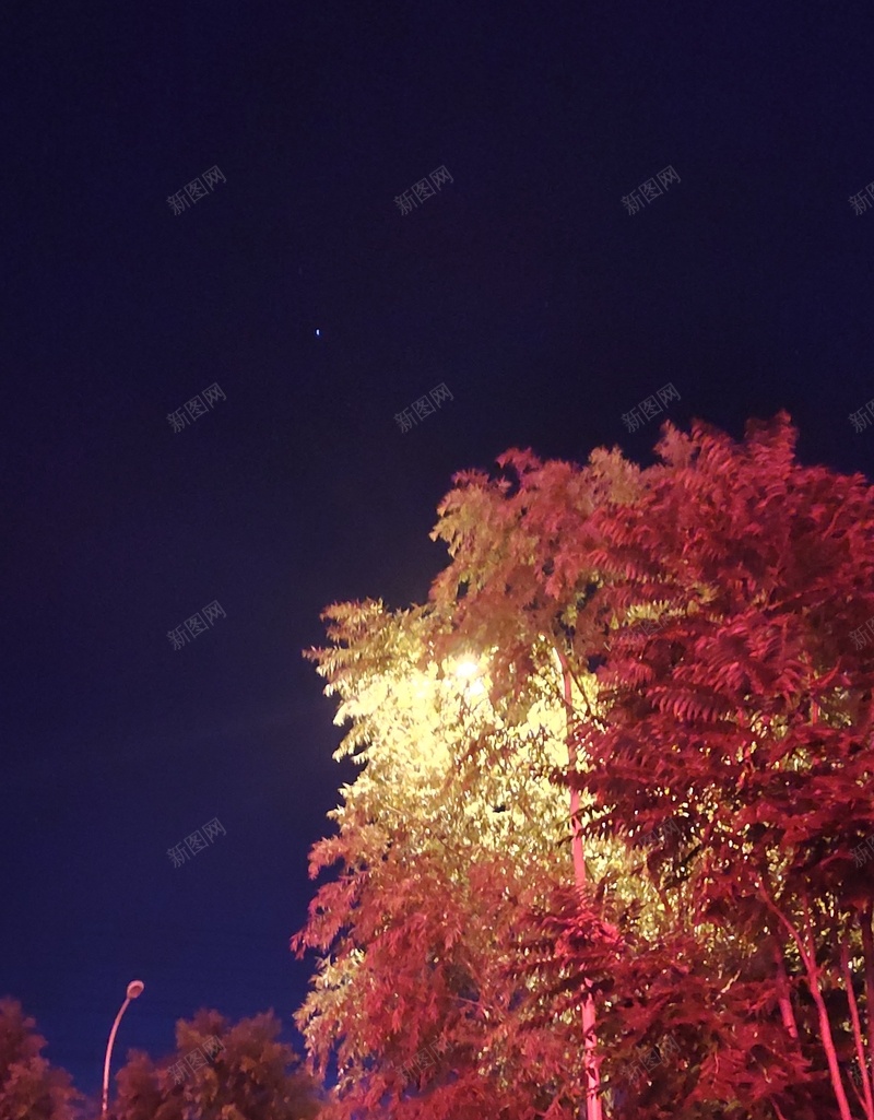 夜晚的路口风景jpg设计背景_新图网 https://ixintu.com 夏 夜晚 路口 风景