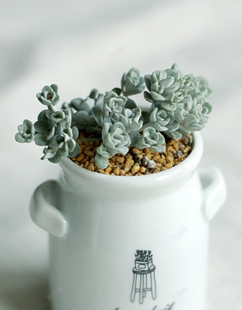 文艺多肉植物H5背景jpg设计背景_新图网 https://ixintu.com H5 h5 多肉 小清新 彩色 文艺 植物 清新 盆栽 简约 萌