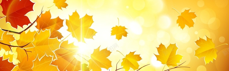 秋叶背景矢量图ai_新图网 https://ixintu.com 摄影 海报banner 秋叶 风景 黄色 矢量图