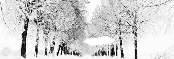 街道树林雪景jpg设计背景_新图网 https://ixintu.com 下雪背景 冬季海报 冬季背景