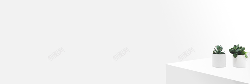 淘宝白色简约化妆品背景psd设计背景_新图网 https://ixintu.com 创意 化妆品 天然 护肤 文艺 时尚 极简 植物 清新 盆栽 简约 绿植 美妆 美白 自然