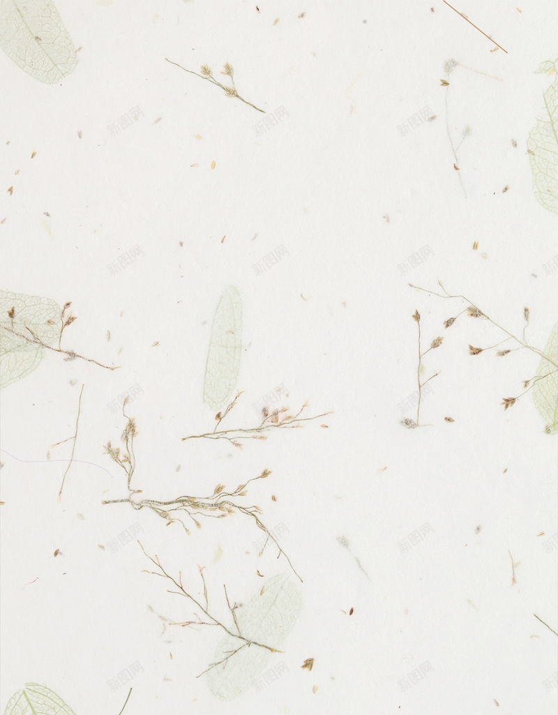 简约灰白纸质感背景树叶干花jpg设计背景_新图网 https://ixintu.com 干花 树叶 树叶干花 灰白 灰白背景 简约 简约背景 纸质 背景