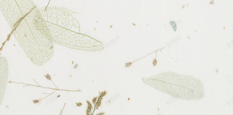 简约灰白纸质感背景树叶干花jpg设计背景_新图网 https://ixintu.com 干花 树叶 树叶干花 灰白 灰白背景 简约 简约背景 纸质 背景