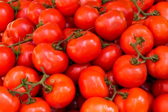 西红柿蔬菜红色食物背景