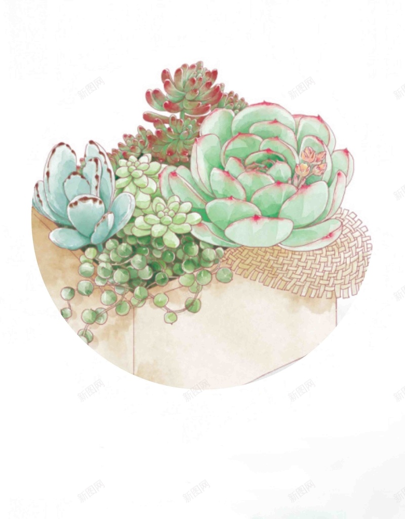 小清新多肉植物cdr海报背景模板cdr设计背景_新图网 https://ixintu.com cdr 卡通 多肉植物 小清新 手绘 海报 矢量 背景