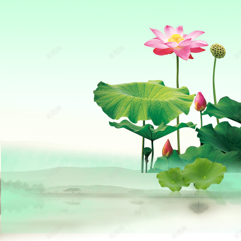 简约荷花荷叶PSD分层主图背景psd设计背景_新图网 https://ixintu.com 主图 减肥茶 化妆品 天然健康 护肤品 河水 淘宝 直通车 绿色背景 荷叶 荷叶茶 荷花 食品