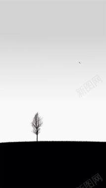 黑白一棵树剪影背景背景