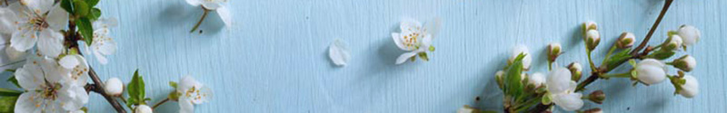 立体小花小清新背景jpg设计背景_新图网 https://ixintu.com 女装 小清新 手绘花朵 文艺 立体小花 简约 花朵 蓝色背景