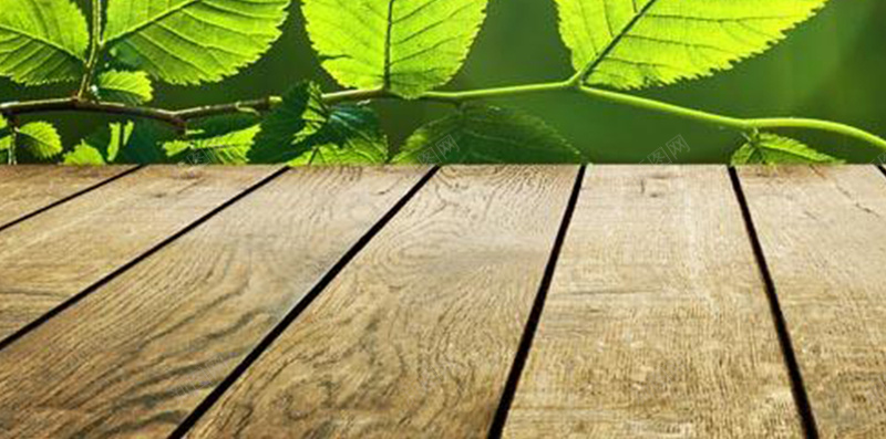 绿色植物阳光H5背景jpg设计背景_新图网 https://ixintu.com H5 H5背景 h5 创意 文艺 木板 清新 简约 绿色植物 绿色植物背景 阳光