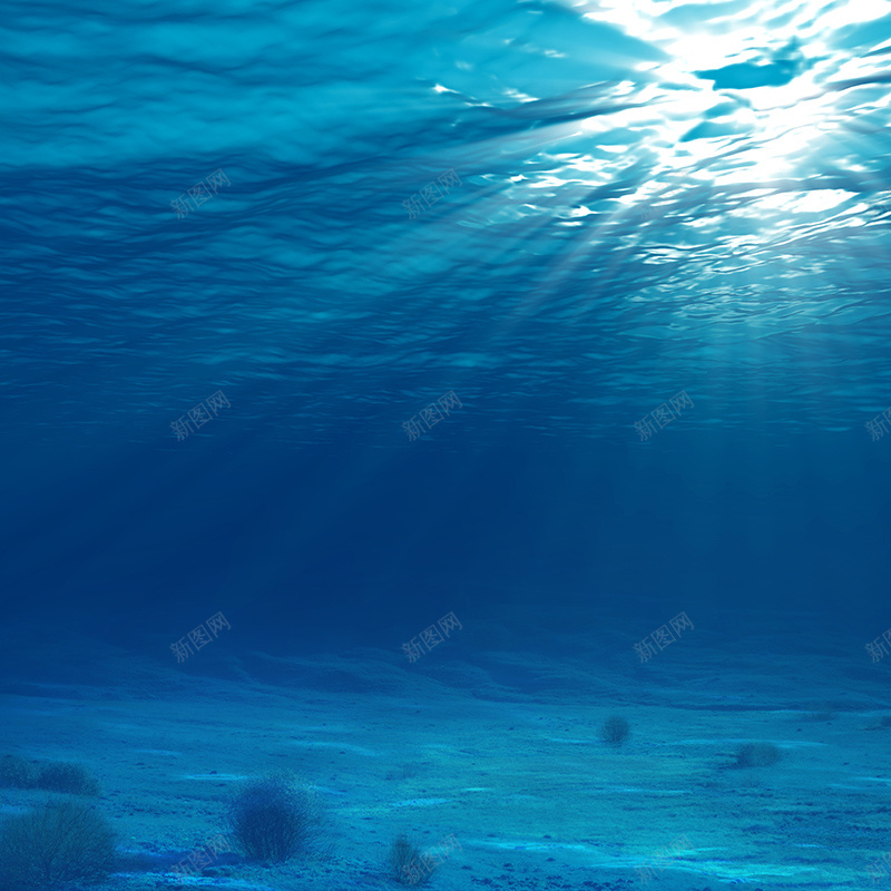 微光海洋背景jpg设计背景_新图网 https://ixintu.com 主图 小清新 微光 文艺 海底 海水 海洋 清新 简约