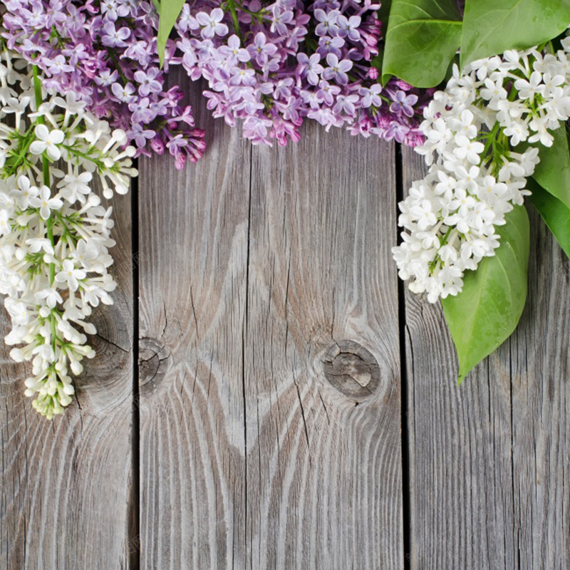 木板花朵背景jpg设计背景_新图网 https://ixintu.com 主图 木板 清新 纹理 花朵 质感