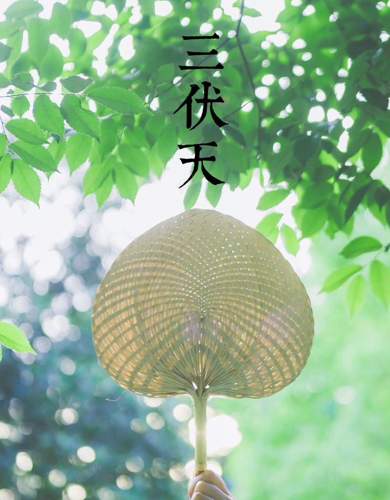 清新简约文艺三伏天海报背景psdpsd设计背景_新图网 https://ixintu.com 三伏天 夏天 夏季 扇子 文艺 树荫 海报背景 清新 简约