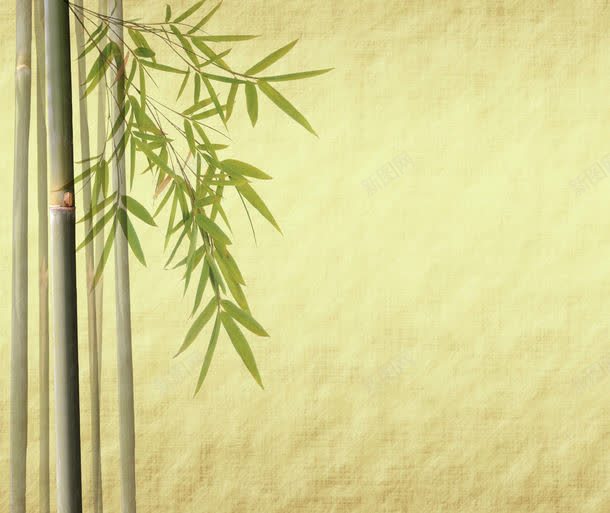 竹背景jpg设计背景_新图网 https://ixintu.com 中国风 图片素材 复古 底纹背景 竹背景 竹背景图片素材图片 竹背景图片素材图片素材下载 背景图片 背景花边 陈旧 高清图片