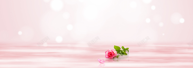 粉色唯美背景psd设计背景_新图网 https://ixintu.com 优雅 宁静 小清新 文艺 海报banner 简约 粉红色背景 美容 美容海报 花 花瓣