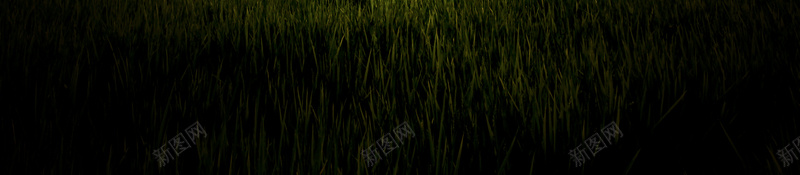 夜晚星空爱心草地背景psd设计背景_新图网 https://ixintu.com 夜晚 小清新 文艺 星空 爱心 简约 背景素材 草地 风车