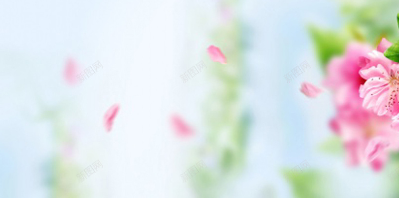 清新花朵花瓣H5背景jpg设计背景_新图网 https://ixintu.com 小清新 文艺 淡雅 清新 简约 花朵 花瓣 青色