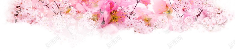 粉色小清新春季杏花背景psd设计背景_新图网 https://ixintu.com PSD源文件 PSD素材 分层文件 小清新 春天 春季 杏花 粉色 背景模板 背景海报 背景素材 花开季节 花朵 高清背景