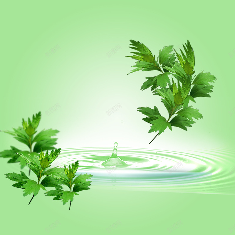 淡绿色水纹艾草背景psd设计背景_新图网 https://ixintu.com 健康 化妆品 水纹 淡绿色 清新 简约 绿色 背景 艾草
