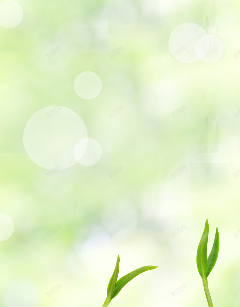 发芽绿苗泥土H5背景psd设计背景_新图网 https://ixintu.com 发芽 泥土 清新 简约 绿色 绿苗 自然 风景