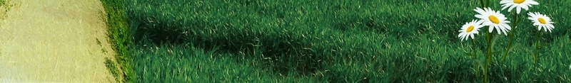 绿色植树节环保海报背景模板psd设计背景_新图网 https://ixintu.com 312 公益环保 小路 植树节 环保海报 白云 绿色 绿色大树 背景模板 草地 蓝天 鲜花