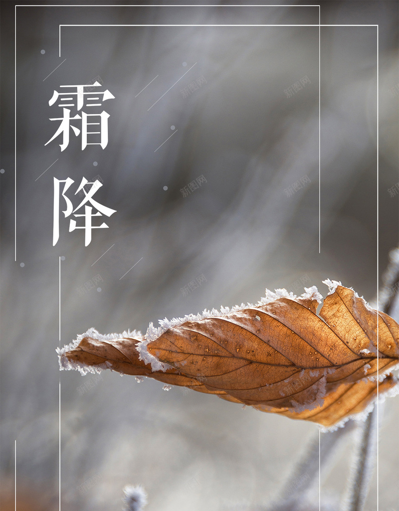 霜降1023PSD分层H5psd设计背景_新图网 https://ixintu.com 新品上新 电商 秋 秋天海报 秋天深秋 秋天背景 秋季促销活动 秋季背景 金秋 霜降节气