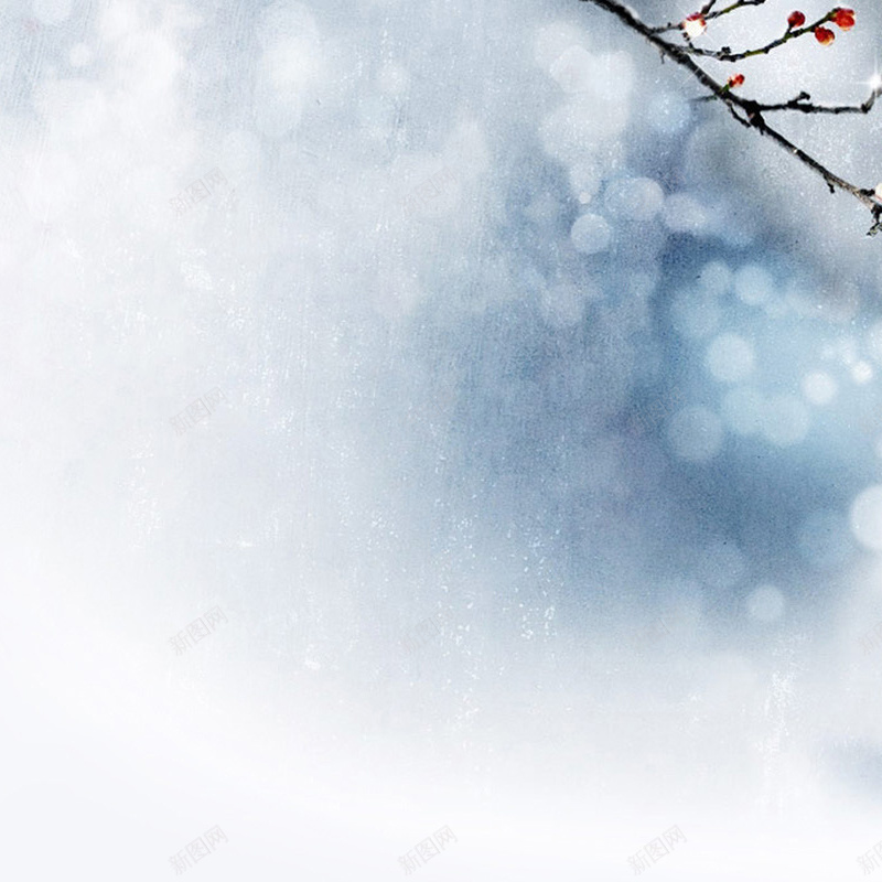 中国风淡蓝背景jpg设计背景_新图网 https://ixintu.com 中国风 主图 文艺 梅花 淡蓝 淡雅 清新