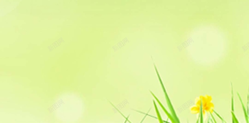 清新清爽绿色H5背景jpg设计背景_新图网 https://ixintu.com H5背景 PPT 名片 展架 手机主题 模板 清新 清爽 简约 绿色