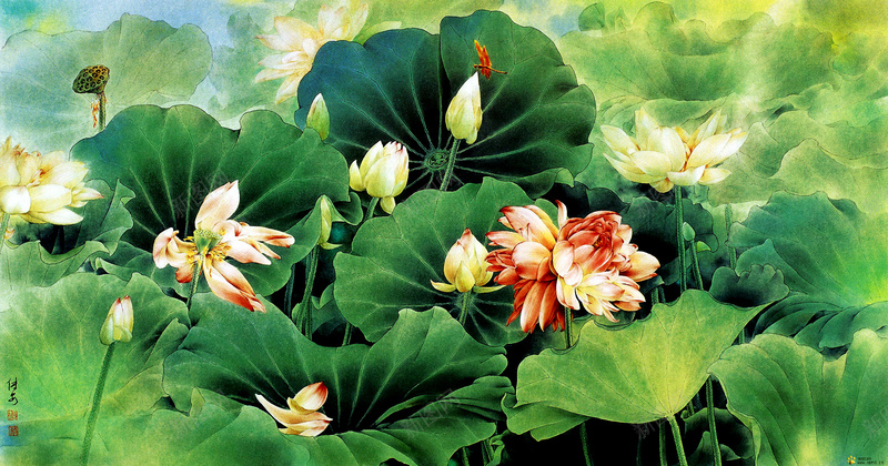 白荷花荷塘国画jpg设计背景_新图网 https://ixintu.com 白荷花 荷叶 荷塘 荷花国画