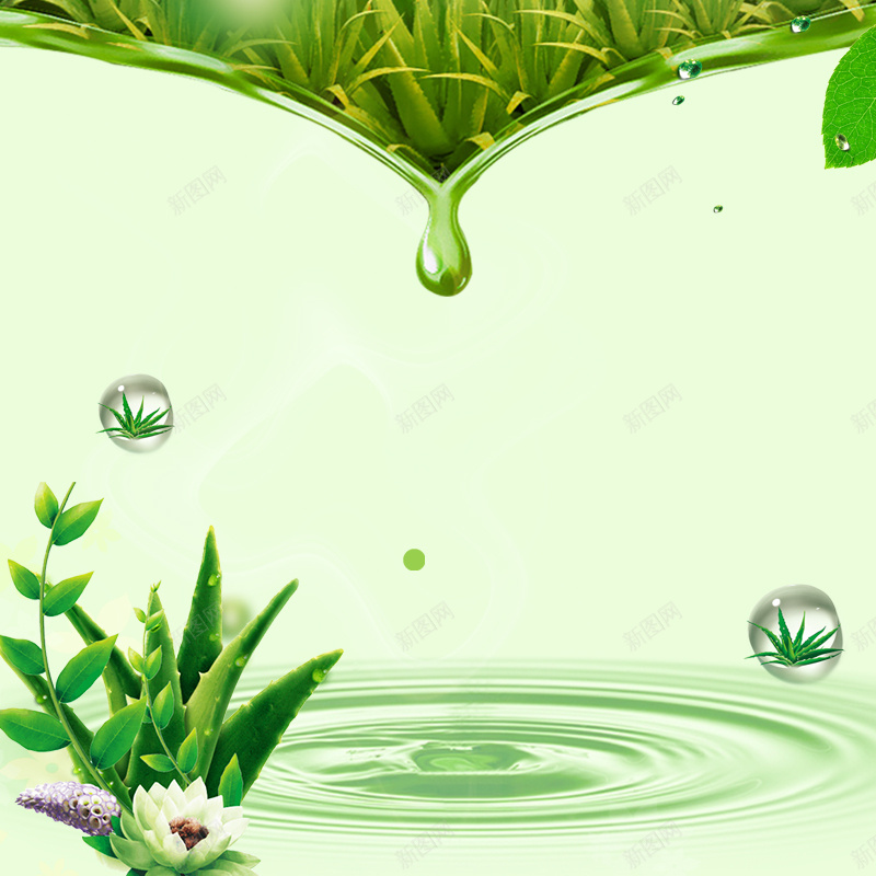 绿色简约芦荟化妆品PSD分层主图背景psd设计背景_新图网 https://ixintu.com 主图 化妆品 护肤品 水滴 水纹背景 洗面奶 淘宝 直通车 简约背景 绿色背景 芦荟 透明气泡