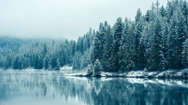 森林湖冰雪宽屏背景jpg设计背景_新图网 https://ixintu.com 冰雪 森林 背景