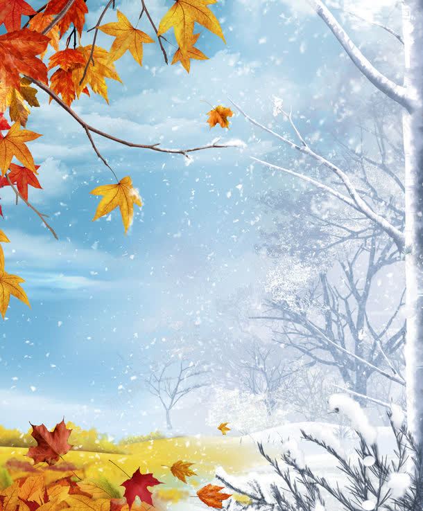 季节变化的景观jpg设计背景_新图网 https://ixintu.com 冬天 冬天景观 冬季 冰 图片素材 季节变化 季节变化的景观图片 季节变化的景观图片素材下载 底纹背景 枫叶 枫树 秋叶 秋天景观 秋天风景 秋季 秋枫 红叶 红枫叶 背景花边 雪花