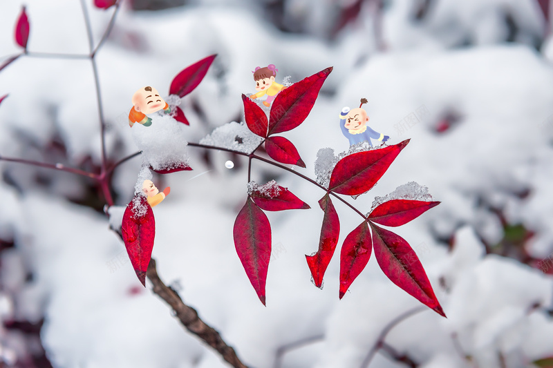 冬趣冬趣冬趣冬趣jpg设计背景_新图网 https://ixintu.com 冬天 冬季 孩子 打雪仗