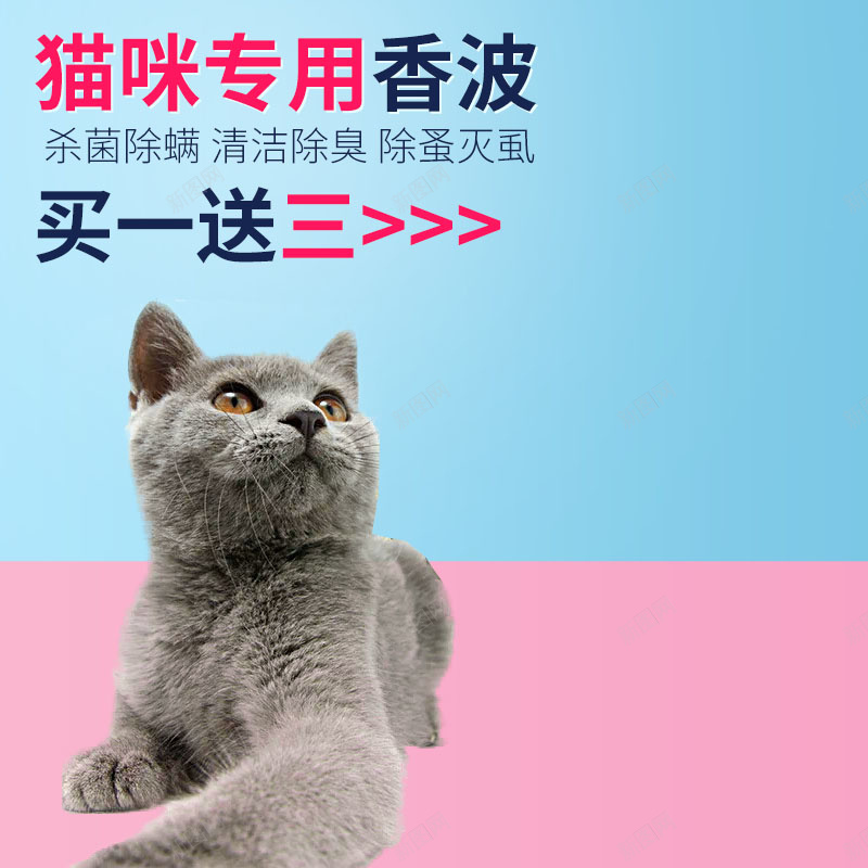 宠物用品促销主图psd设计背景_新图网 https://ixintu.com 618年中大促 主图背景 宠物用品 扁平 活动促销 淘宝主图 猫咪背景 猫粮促销 简约 节日促销