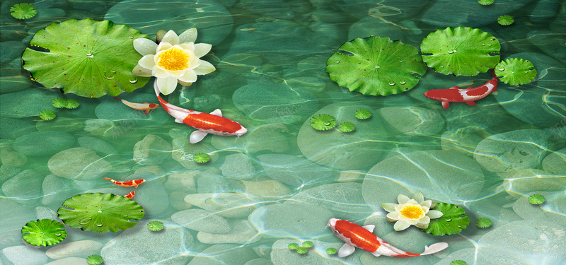 荷花锦鲤戏水主题背景psd设计背景_新图网 https://ixintu.com 池塘 清澈见底 碧绿 荷叶 荷塘 荷塘月色 荷花 锦鲤 青莲 鲤鱼戏水