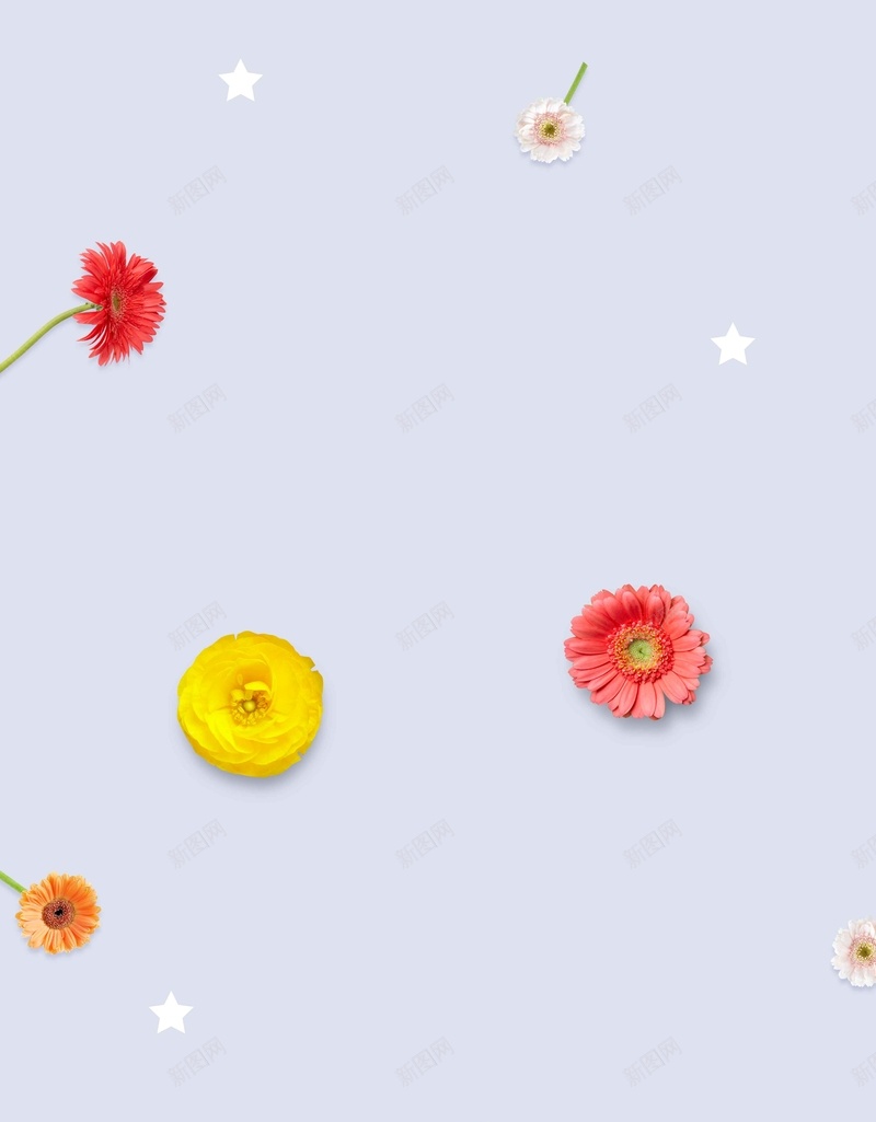 清新花朵浅紫色背景psd设计背景_新图网 https://ixintu.com 文艺 浅紫色背景 清新 简约 红色花朵 纯色背景 花朵 黄色花朵