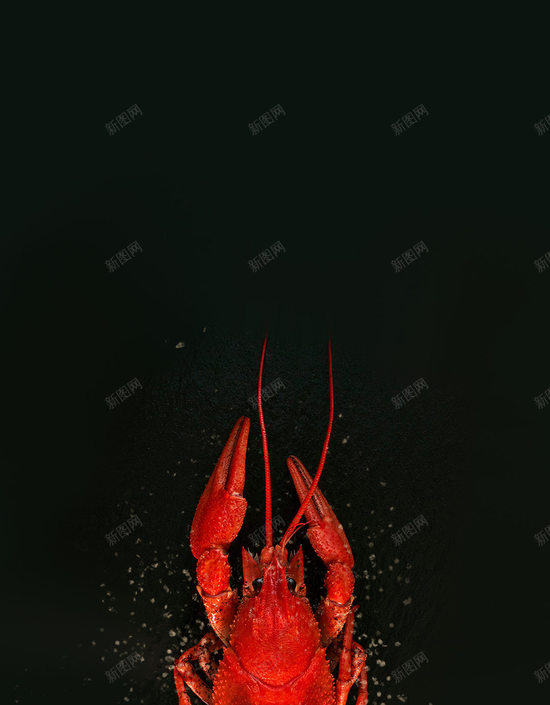 黑色简约夏季小龙虾PSD分层H5背景psd设计背景_新图网 https://ixintu.com H5 PSD分层 夏季 夜宵 大气 小龙虾 简约 美食 背景素材 颗粒 麻辣小龙虾 黑色