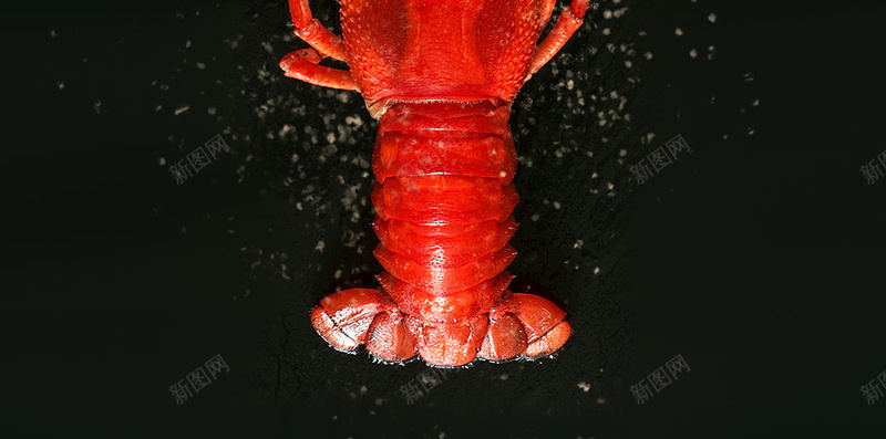 黑色简约夏季小龙虾PSD分层H5背景psd设计背景_新图网 https://ixintu.com H5 PSD分层 夏季 夜宵 大气 小龙虾 简约 美食 背景素材 颗粒 麻辣小龙虾 黑色