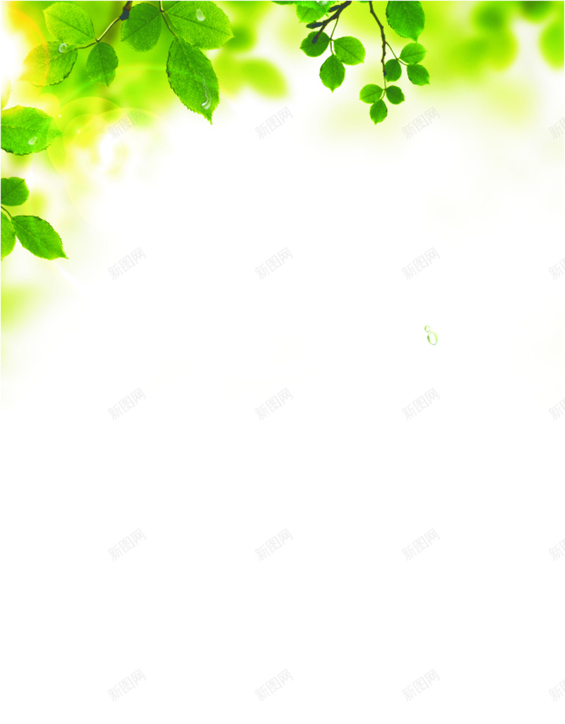 绿色清新化妆品促销展架易拉宝背景cdr设计背景_新图网 https://ixintu.com 化妆品清新 清新绿色 绿色促销 绿色化妆品 背景绿色