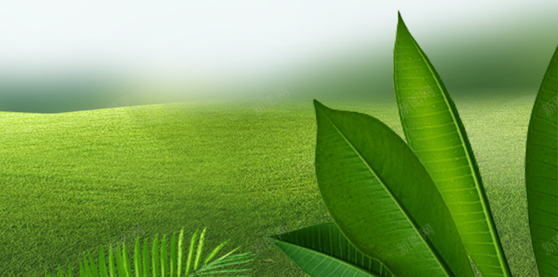 绿色树叶草地产品活动促销背景psd设计背景_新图网 https://ixintu.com 产品 促销 叶子 树叶 活动 漂浮 绿色 背景 草地