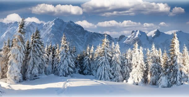 高山雪景皑皑一片jpg设计背景_新图网 https://ixintu.com 皑皑 素材 雪景 高山