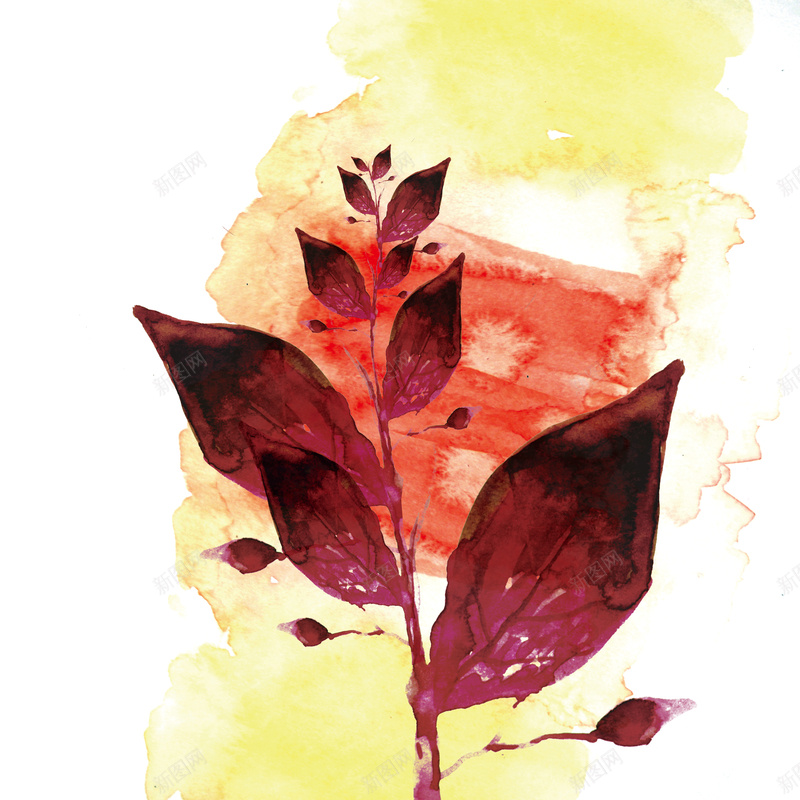 酒红色的花背景图psd设计背景_新图网 https://ixintu.com 创意 小清新 白色 简约 纹理 花朵 质感