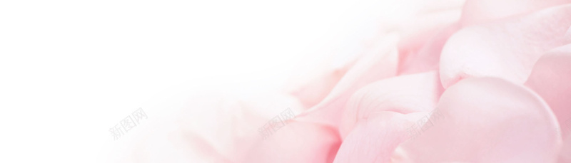 鲜花植物女性粉色桃花花朵梦幻小鸟背景