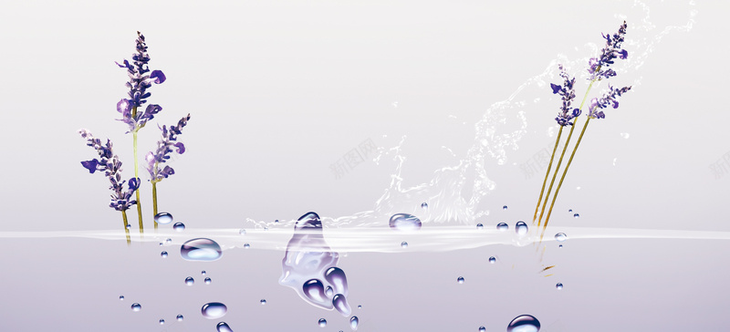 淘宝薰衣草精油化妆品海报背景bannerpsd设计背景_新图网 https://ixintu.com 化妆品 梦幻 水珠 浪漫 海报 精油 紫色 背景 薰衣草