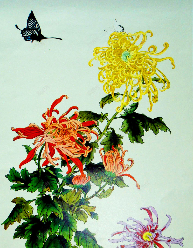 月季花中国风国画jpg设计背景_新图网 https://ixintu.com 中国风 国画 复古 月季花 蝴蝶